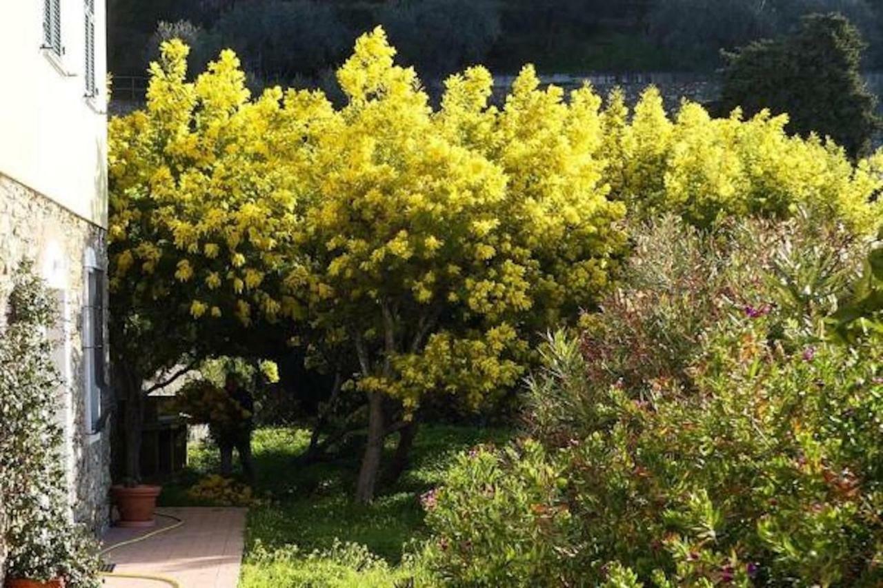 Agriturismo San Michele Di Danio Giovanni دولتشيدو المظهر الخارجي الصورة