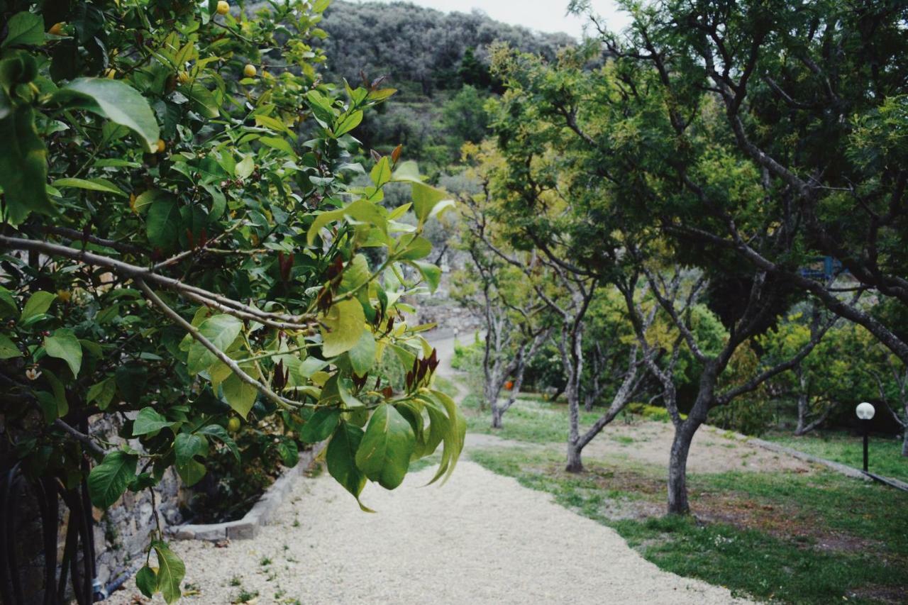 Agriturismo San Michele Di Danio Giovanni دولتشيدو المظهر الخارجي الصورة